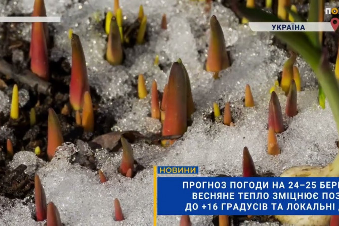 Погляд — новини Київщини онлайн - a15f42bc-7509-43ec-b505-18a2aad24ba1 - зображення